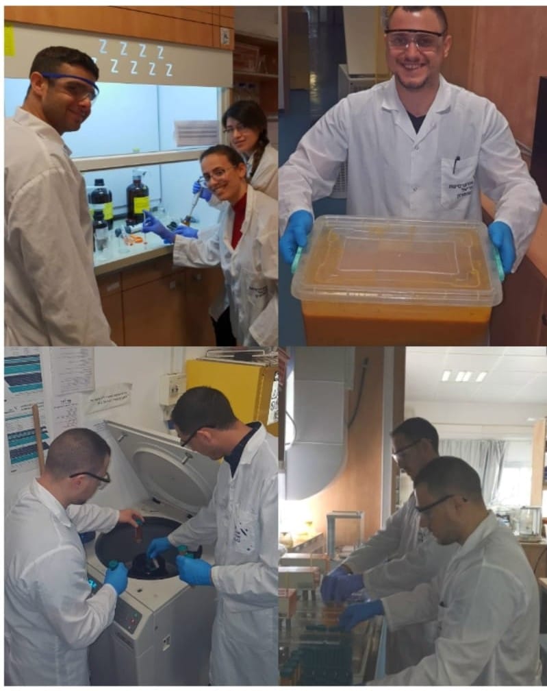 biodiesel-lab